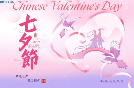 Diesel Fuel Pump Plunger - Blog