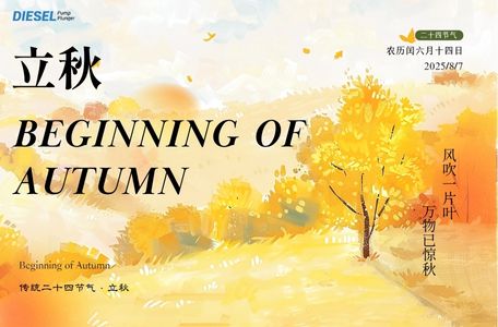 Diesel Fuel Pump Plunger - Blog