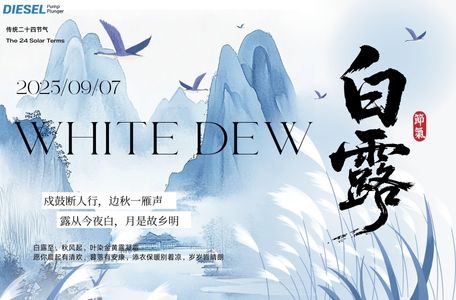 F019D03313 Diesel Pump Plunger’s Limited-Time White Dew Deal