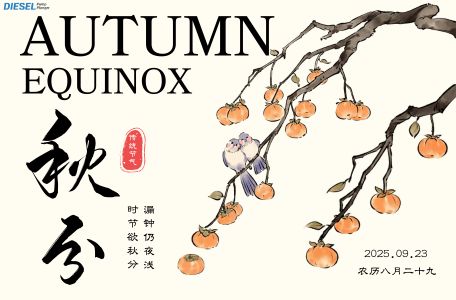 F019D04036 Diesel Pump Plunger Promotion on Autumnal Equinox