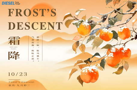 Celebrate the Frost’s Descent with 1462C53998 Diesel Pump Plunger Promotion