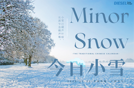 Embrace the Minor Snow with F00F0P1006 Diesel Pump Plunger Deals