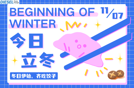 Grab Your 1462C53999 Diesel Pump Plunger Deal This Lidong!