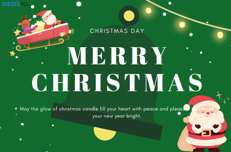 Christmas Sale for F00F0P1503 Diesel Pump Plunger