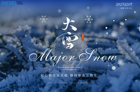 Score Big on F00F0P1009 Diesel Pump Plunger This Major Snow