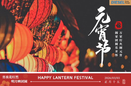 Special Lantern Festival Price for F01M100927 Diesel Pump Plunger