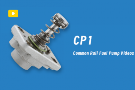 video-diesel-pump-plunger-CP1