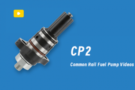 video-diesel-pump-plunger-CP2
