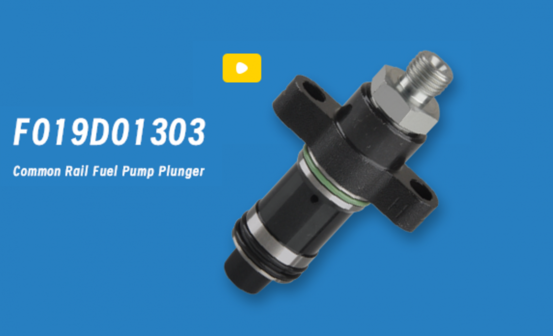 video-diesel-pump-plunger-F019D01303